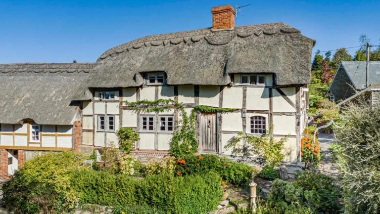 Thatched cottage with holiday lets and historic charm for sale