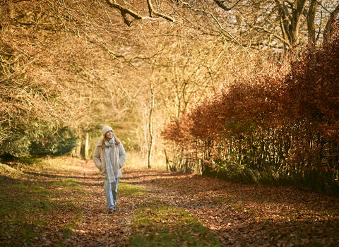 Hereford Walks: Top Scenic Routes and Practical Tips